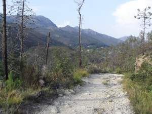 Xtrallusion photo library of independent, self-guided walking and sightseeing holidays in Italy. Pictures, images, photos and photographs taken along the way of this 1-day walking itinerary, to give you a visual impression of the day's walk.